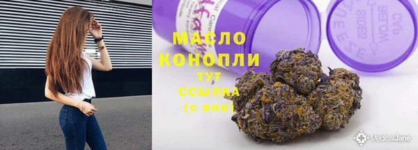 гидра Козловка