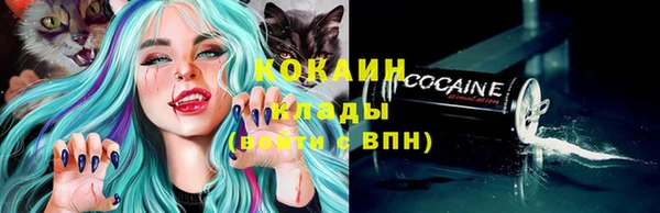 гидра Козловка
