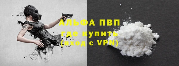 твердый Козельск