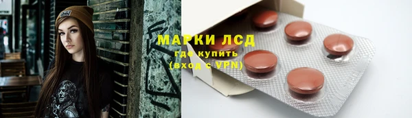 твердый Козельск