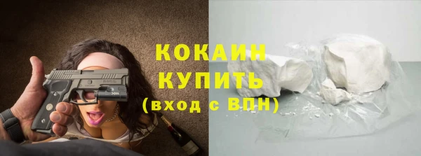гидра Козловка