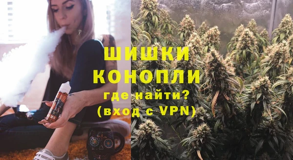 твердый Козельск
