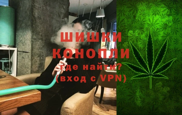 твердый Козельск