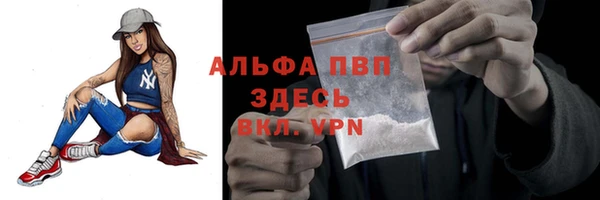 гидра Козловка