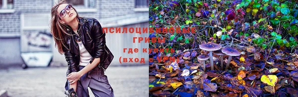 твердый Козельск