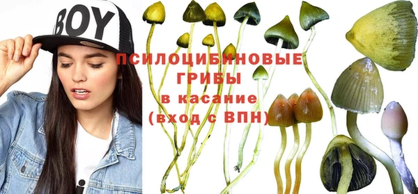 MDMA Premium VHQ Кодинск