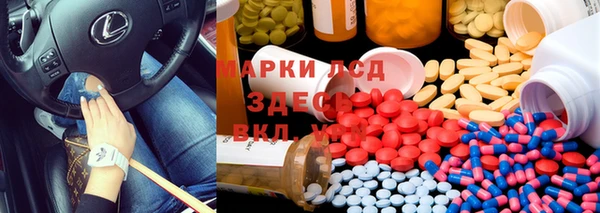 гидра Козловка