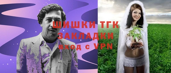 гидра Козловка
