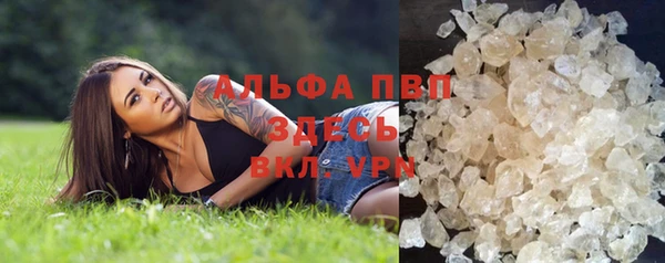 твердый Козельск