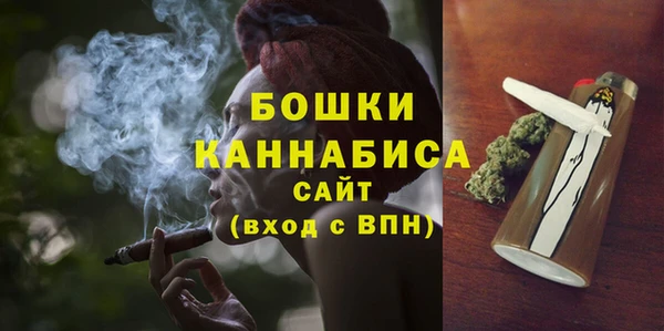 твердый Козельск
