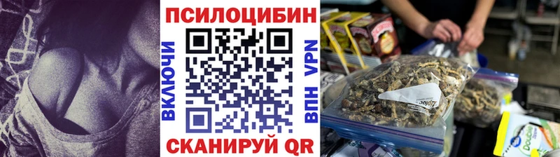 Галлюциногенные грибы мицелий  как найти закладки  Павловская 